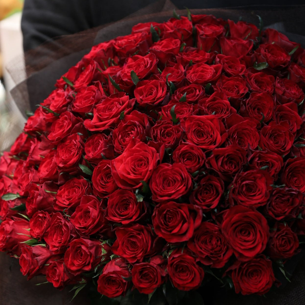 赤薔薇108本の花束 『結婚してください』