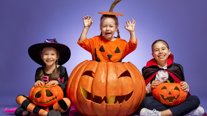 花で楽しむ大人のハロウィン！秋の花を使ったおしゃれな飾り方とプレゼントのアイデア