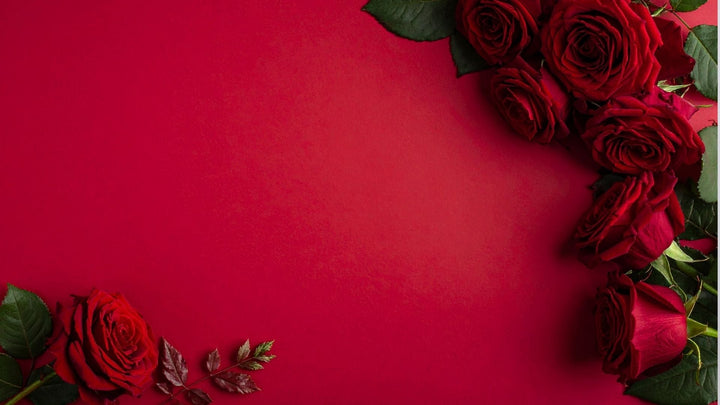 色別・オススメの母の日フラワー