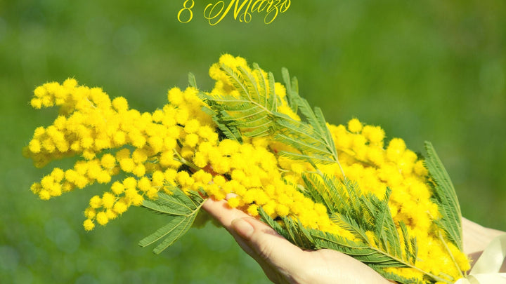 花言葉を贈るということ