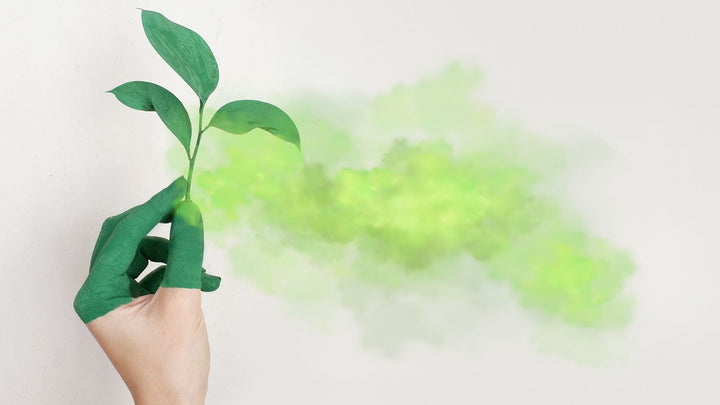 白と緑がもたらす癒しの効果