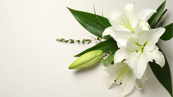 ユリの花言葉と由来
