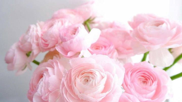 お花を貰ったときの一番嬉しい瞬間とは?