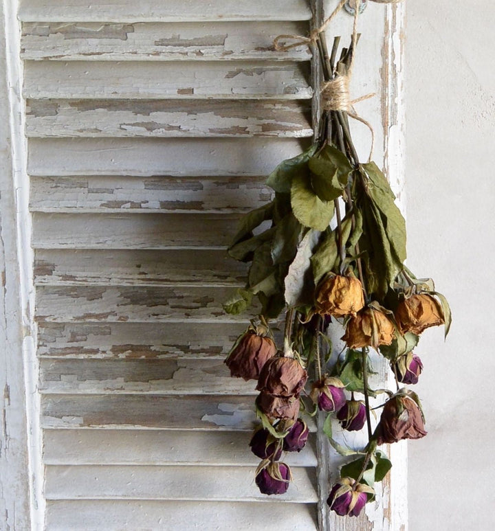 枯れたお花が魅せる魅力あるギフト『ドライフラワー』