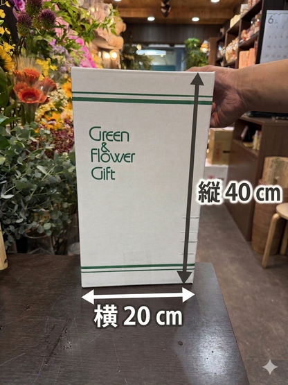 月1回プラン　季節のお花の定期便※季節のおまかせSサイズ