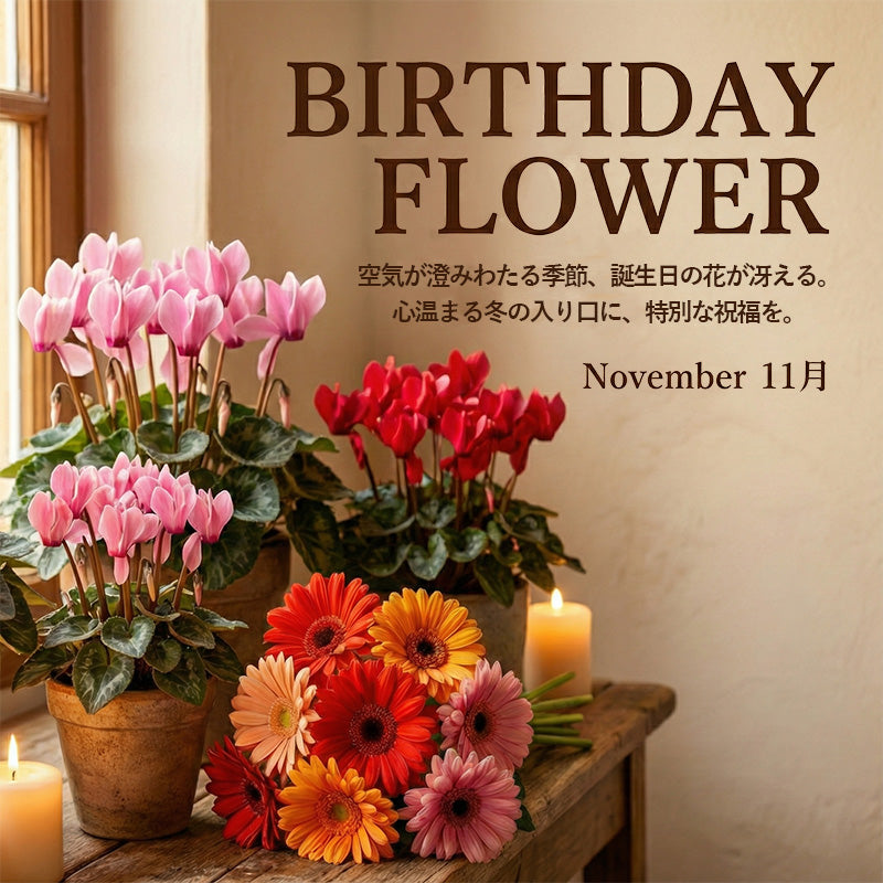 １１月の誕生日ギフト