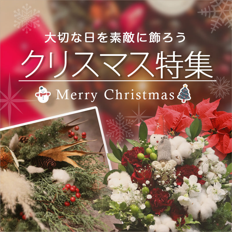 クリスマス特集 – Bambino