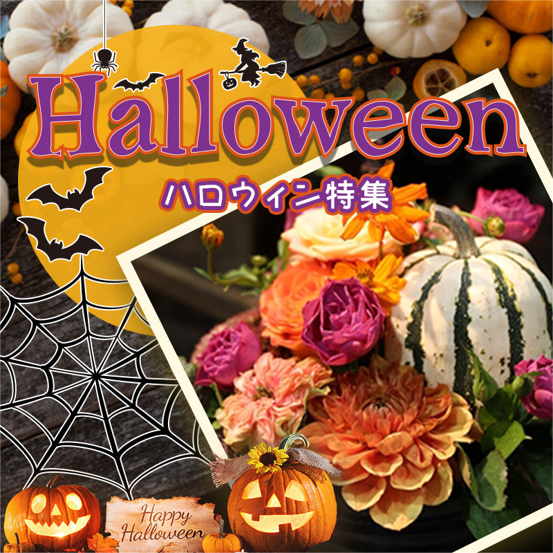 ハロウィン特集