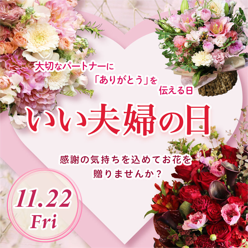 いい夫婦の日特集