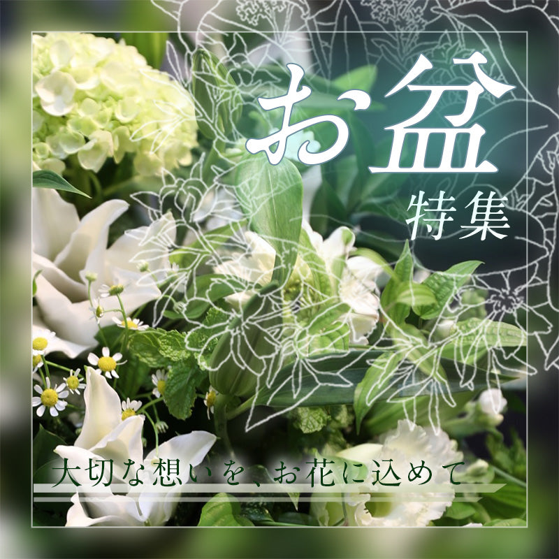 お盆特集
