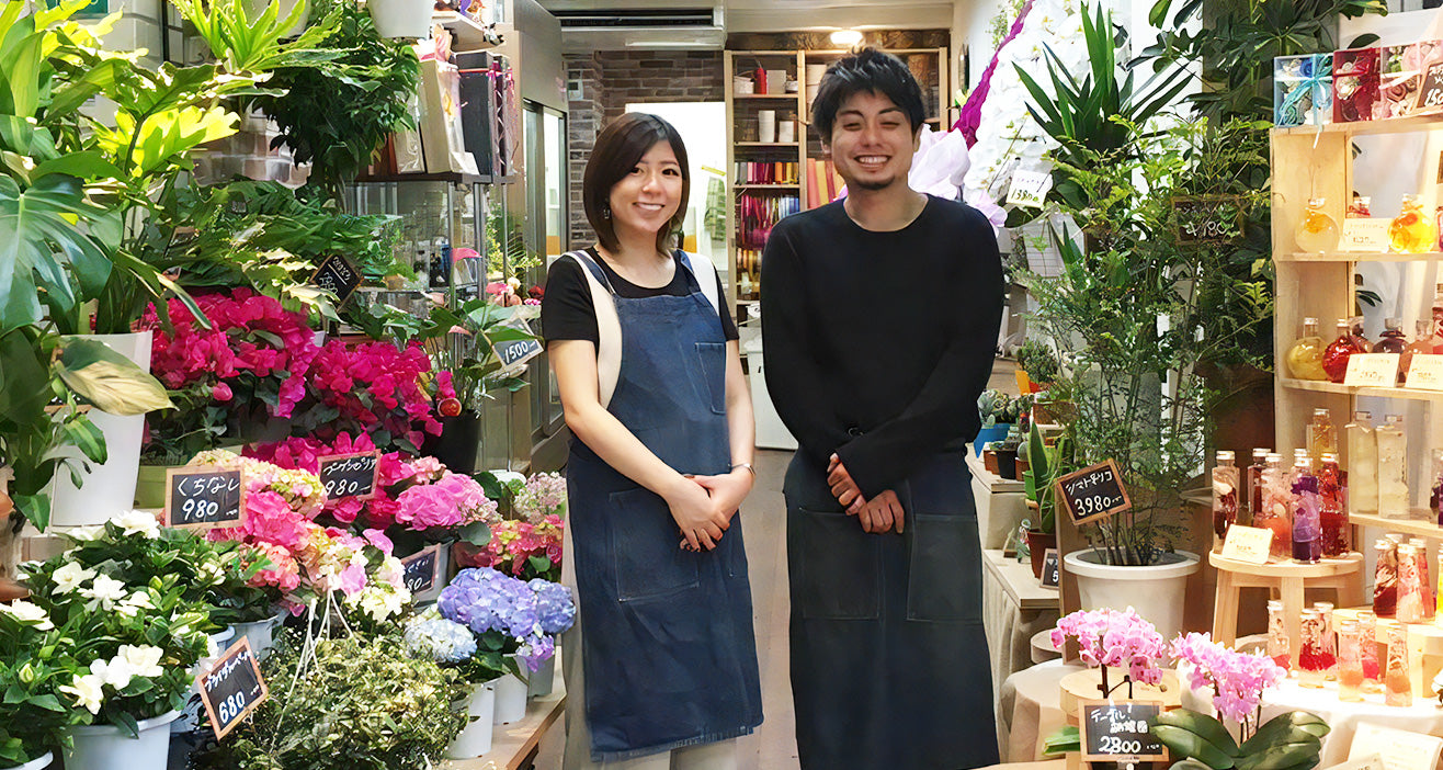 バンビーノ背景画像